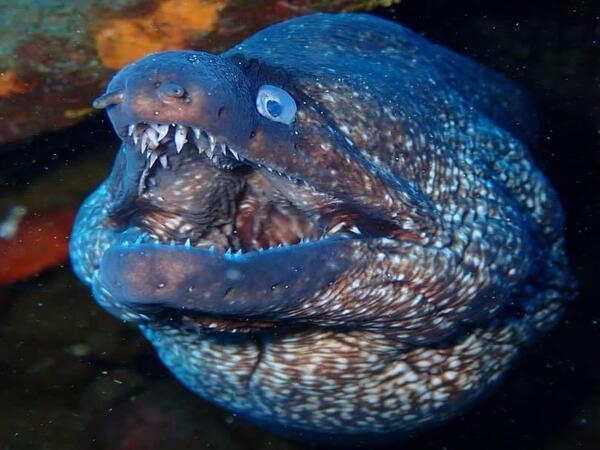 puntos-de-inmersion (11)