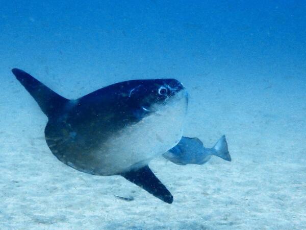 puntos-de-inmersion (12)