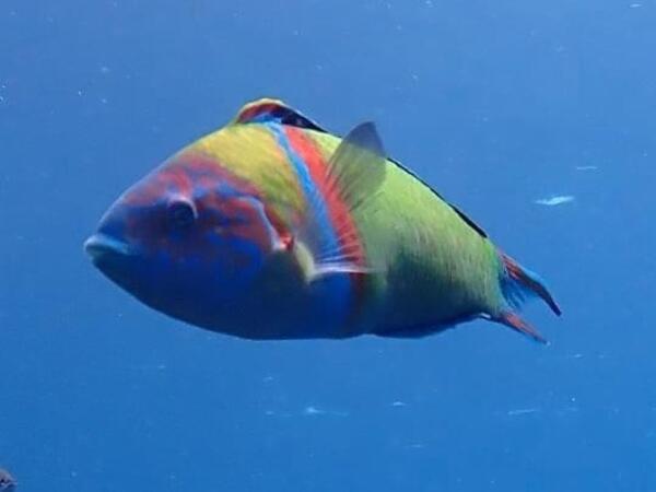 puntos-de-inmersion (2)