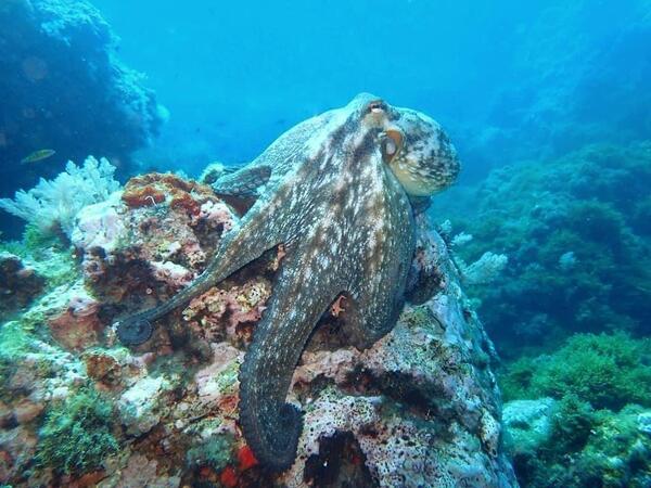 puntos-de-inmersion (3)