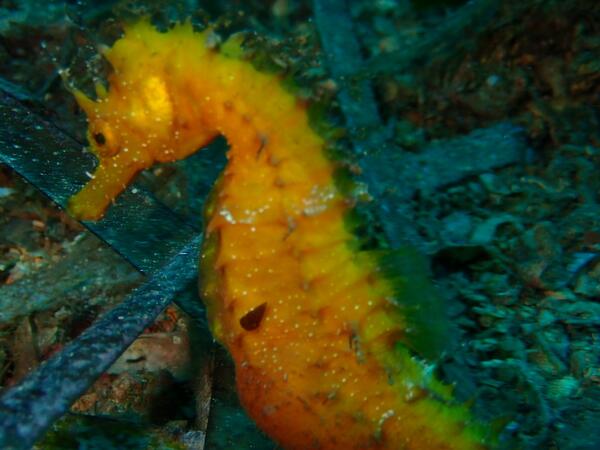 puntos-de-inmersion (5)