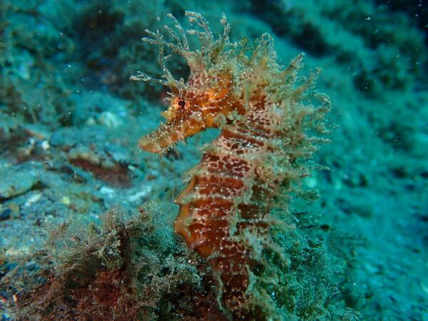 puntos-de-inmersion (6)