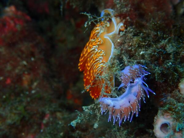 puntos-de-inmersion (8)